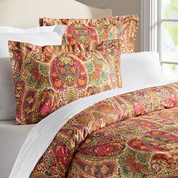 Pottery Barn Rosalie Paisley Full/Queen Duvet Cover & 2 Euro Shams - Picture 2 of 2